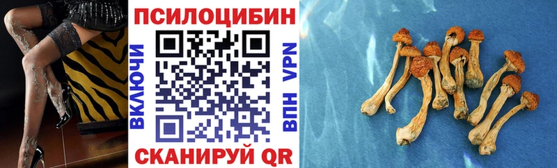 Псилоцибиновые грибы Magic Shrooms  ссылка на мегу как войти  Яблоновский 